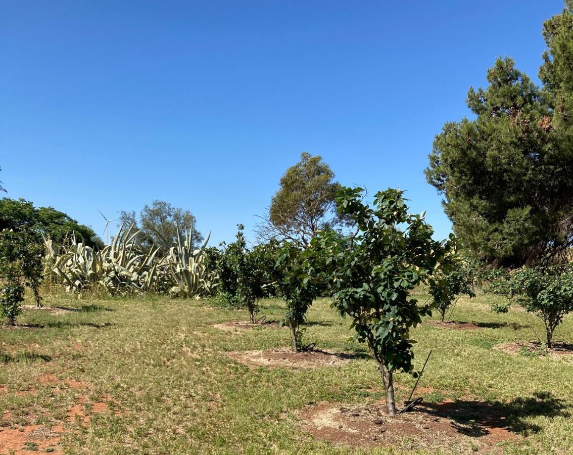 Вілла Belalie Wines Jamestown Екстер'єр фото
