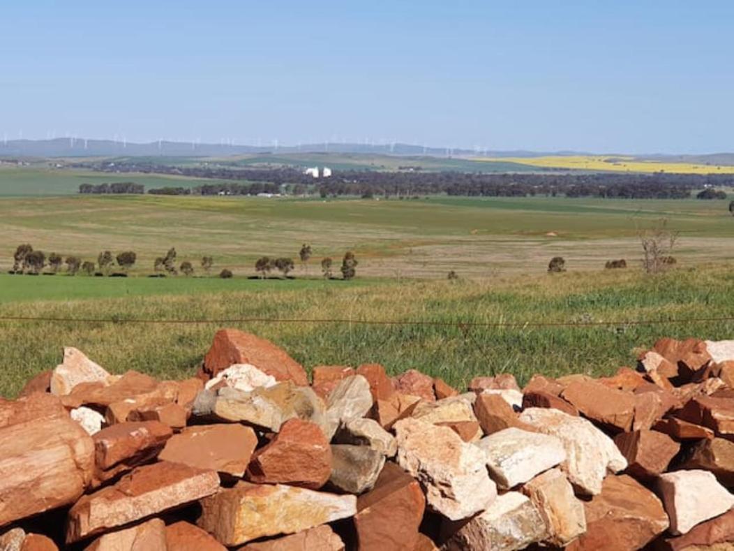 Вілла Belalie Wines Jamestown Екстер'єр фото